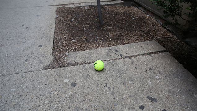 Illustration for article titled 14 Tennis Balls And You’ll Never Guess Which One Is Mine